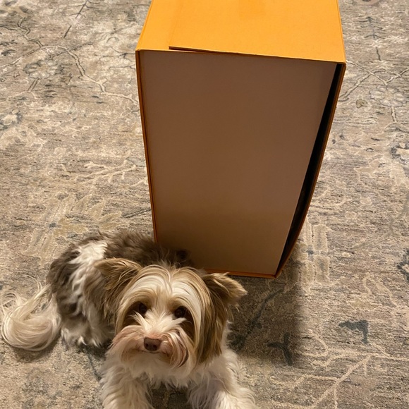 COPY - BRAND NEW Authentic Louis Vuitton XXL Luggage Box - Picture 16 of 16